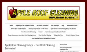 Saferoofcleaning.com thumbnail