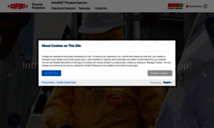 Safespec.dupont.com thumbnail