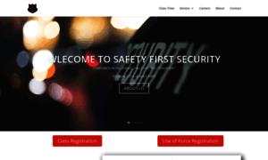 Safetyfirstsecurity.org thumbnail