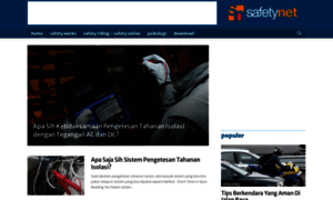 Safetynet.asia thumbnail