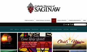 Saginaw.org thumbnail