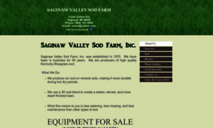 Saginawvalleysod.com thumbnail