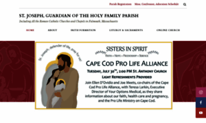 Saintelizabethseton.org thumbnail