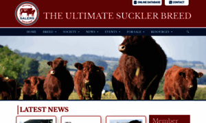 Salers-cattle-society.co.uk thumbnail