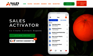 Salesactivator.com thumbnail