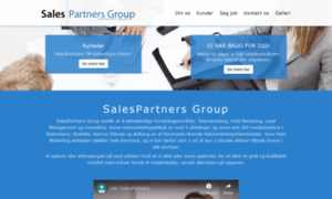 Salespartners-tm.dk thumbnail