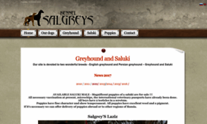 Salgreys.ru thumbnail
