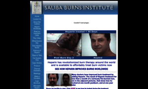 Salibaburnsinstitute.org thumbnail
