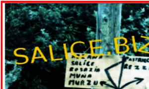 Salice.biz thumbnail