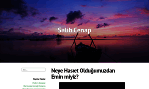 Salihcenap.wordpress.com thumbnail