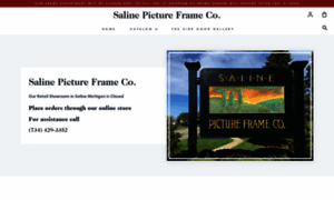 Salinepictureframe.com thumbnail