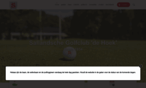 Sallandsche.nl thumbnail