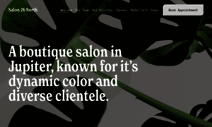 Salon26north.com thumbnail