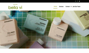 Salonbellavi.com thumbnail