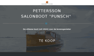 Salonbootpunsch.nl thumbnail