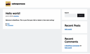 Salonpureusa.com thumbnail