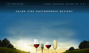 Salons-vins-gastronomie.fr thumbnail