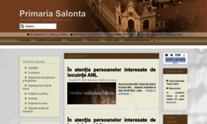 Salonta.net thumbnail