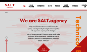 Salt.agency thumbnail
