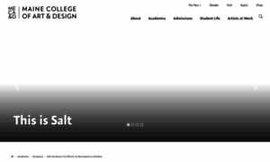 Salt.edu thumbnail