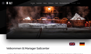 Saltcenter.com thumbnail