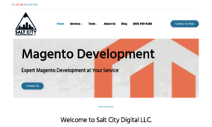 Saltcitydigital.com thumbnail
