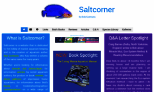 Saltcorner.com thumbnail