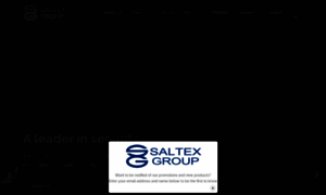 Saltexgroup.com thumbnail