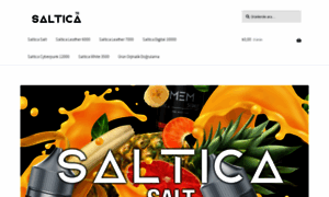 Salticaturkiye1.net thumbnail