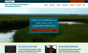 Saltmarshguide.org thumbnail