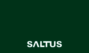 Saltus-werk.de thumbnail