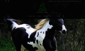 Saltusienne-painthorses.com thumbnail