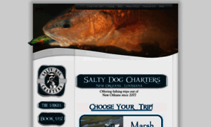 Saltydogchartersllc.com thumbnail