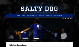 Saltydogsoccercamp.com thumbnail