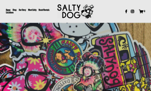 Saltydogsurfshop.com thumbnail