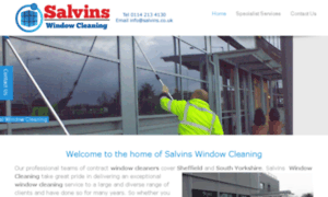 Salvins.co.uk thumbnail