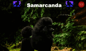 Samarcanda.net thumbnail