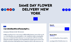 Samedayflowerdeliverynyc.com thumbnail