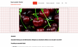 Samosber-tresni.webnode.cz thumbnail