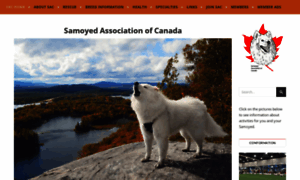 Samoyed.ca thumbnail