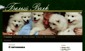 Samoyeds.ru thumbnail