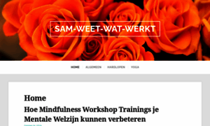 Samweetwatwerkt.nl thumbnail