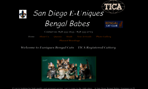 Sandiegobengalbabes.com thumbnail