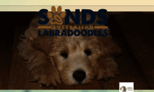 Sands-australian-labradoodles.com thumbnail