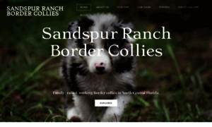 Sandspurranchbcs.weebly.com thumbnail