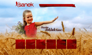 Sanek.com.tr thumbnail