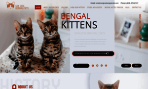 Sanjosebengalcats.com thumbnail