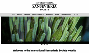 Sansevieria-international.org thumbnail