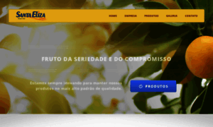 Santaelizacitros.com.br thumbnail