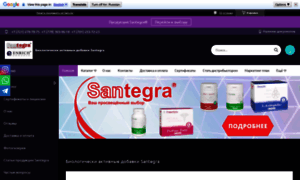 Santegra.kz thumbnail
